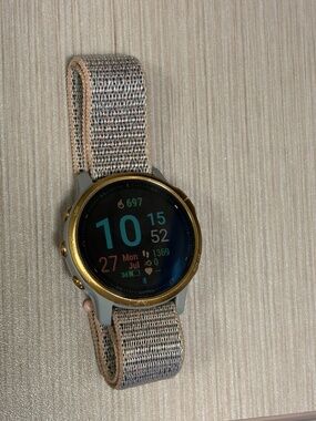 Garmin Fenix 6s sapphire